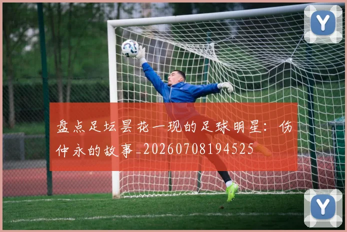 盘点足坛昙花一现的足球明星：伤仲永的故事_20260708194525
