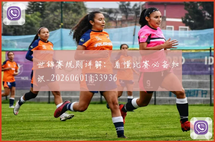 世锦赛规则详解:看懂比赛必备知识_20260601133936